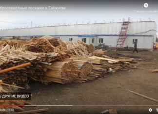 Недобросовестные лесники в Таёжном