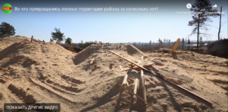 Во что превращались лесные территории района за несколько лет!