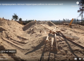 Во что превращались лесные территории района за несколько лет!