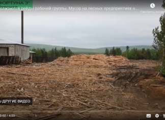 Продолжаются рейды рабочей группы. Мусор на лесных предприятиях на территории Невонки.
