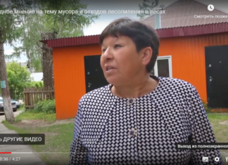 Народное мнение на тему мусора и отходов лесопиления в лесах