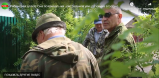 Рябиновая аллея. Она появилась на центральной улице Ленина в Богучанах.