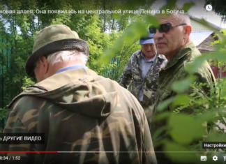 Рябиновая аллея. Она появилась на центральной улице Ленина в Богучанах.