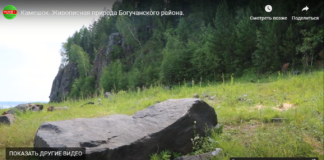 Камешок. Живописная природа Богучанского района.