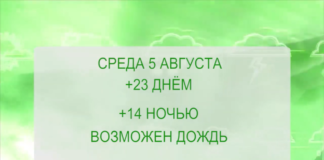 Погода в Богучанах на неделю с 03.08.20 по 09.08.20