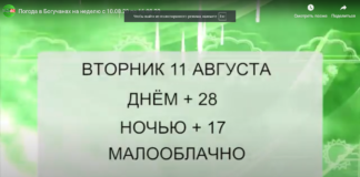 Погода в Богучанах на неделю с 10.08.20 по 16.08.20