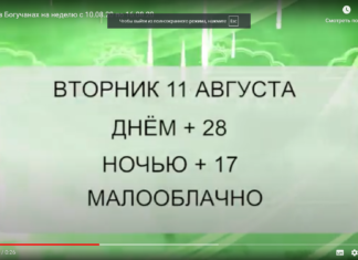 Погода в Богучанах на неделю с 10.08.20 по 16.08.20