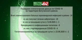 Последние статистические данные по COVID 19 на территории Богучанского района.