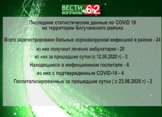 Последние статистические данные по COVID 19 на территории Богучанского района.