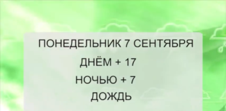 погода с 7.08 по 13.08
