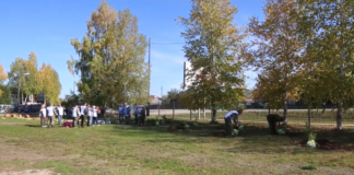 Высадка сибирских кедров в Богучанах.