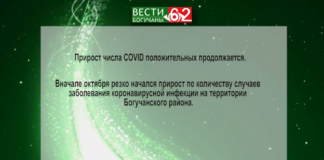 Коронавирус .Прирост COVID-положительных в Богучанском районе