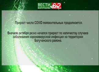 Коронавирус .Прирост COVID-положительных в Богучанском районе