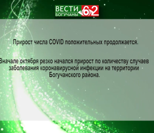 Коронавирус .Прирост COVID-положительных в Богучанском районе