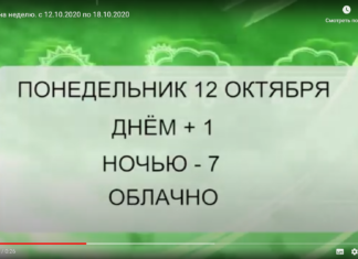 Погода на неделю. с 12.10.2020 по 18.10.2020