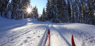 Экопарк в Богучанах.