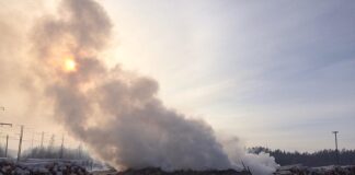 Прокуратура Богучанского района в судебном порядке добилась прекращения деятельности производственной базы по распиловке древесины вблизи с. Богучаны.