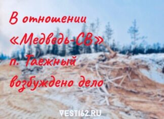 В отношении нарушителей по делу несанкционированного сжигания отходов лесопереработки приняты меры реагирования.