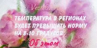 Настоящая весна!