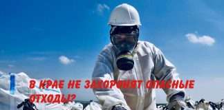 Хорошая новость для неравнодушных к проблеме экологии.