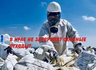 Хорошая новость для неравнодушных к проблеме экологии.