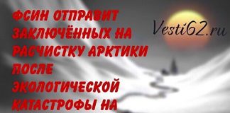 Заключенные Красноярского края отправятся устранять последствия экологической катастрофы на Таймыре.
