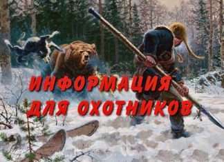 Согласно правительственному указу определены сроки весеннего сезона охоты в охотугодьях края.