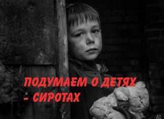 В Красноярском крае программа добровольческого наставничества поможет детям из «группы риска»