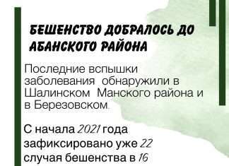 Бешенство добралось до Абанского района.