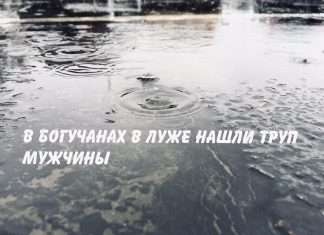 В луже на Центральной улице Ленина нашли труп мужчины.