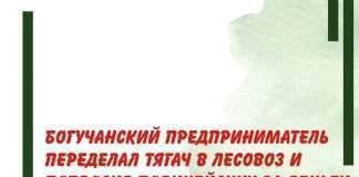 Богучанский предприниматель переделал тягач в лесовоз.