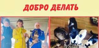 Подарок для «Богучанских хвостиков».