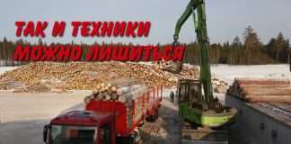Незаконная лесозаготовка может привести к изъятию техники