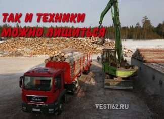 Незаконная лесозаготовка может привести к изъятию техники