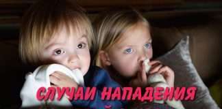 Очередное нападение на ребёнка.