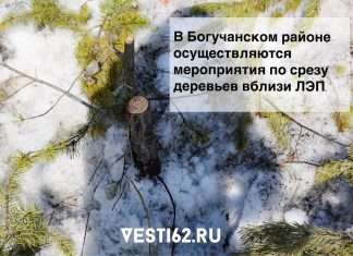 В Богучанском районе осуществляются мероприятия по срезу деревьев вблизи ЛЭП.