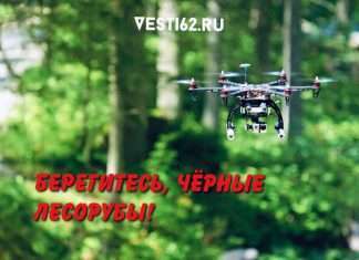 Берегитесь, чёрные лесорубы! В Красноярский край летят дроны.