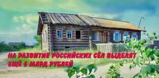 На развитие российских сёл выделят ещё 6 млрд рублей.