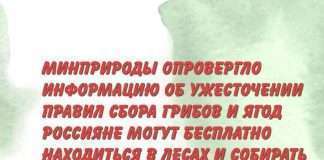 В сети появилась опровергающая информация. Не смотря на то, что вопрос остаётся открытым , информационный источник ТАСС дал официальное опровержение.