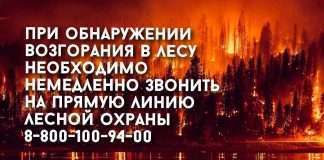 Важно! Во всех районах, за исключением районов Крайнего Севера, с 7 мая действует особый противопожарный режим. Жителям запрещено разводить костры, сжигать мусор и проводить пожароопасные работы.