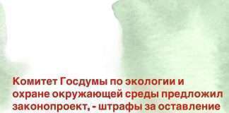 Оставил животное без присмотра?-плати штраф!