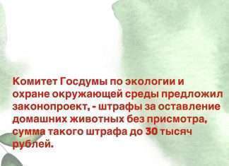 Оставил животное без присмотра?-плати штраф!