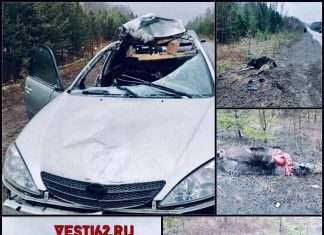 ЧП на дороге: столкновение легкового авто и дикого животного на 246-м км трассы «Канск-Абан-Богучаны».