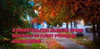 О выплатах.