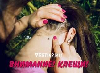 Внимание! Угроза укуса клеща!