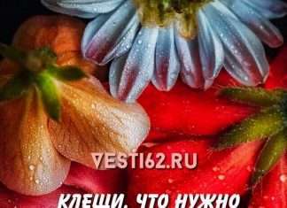 При обнаружении клещей на придомовой территории