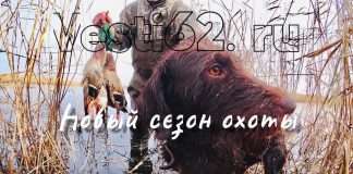 В Красноярском крае открывается очередной сезон охоты.