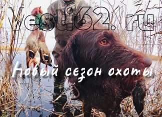 В Красноярском крае открывается очередной сезон охоты.