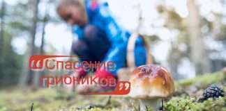 Спасение грибников.