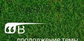Тема отлова собак.